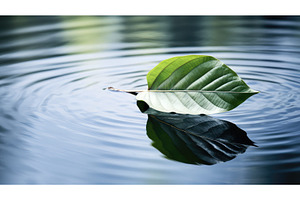 pond leaf leaves ai generated, a Nature Photo by pikepicture