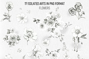 Flowers Graphics, an Object Illustration by Budogoshch (Thumbnail 2 of 8)
