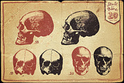Vintage Skull and Bone Vector pack, an Illustration by Itsmesimon (Thumbnail 10 of 11)