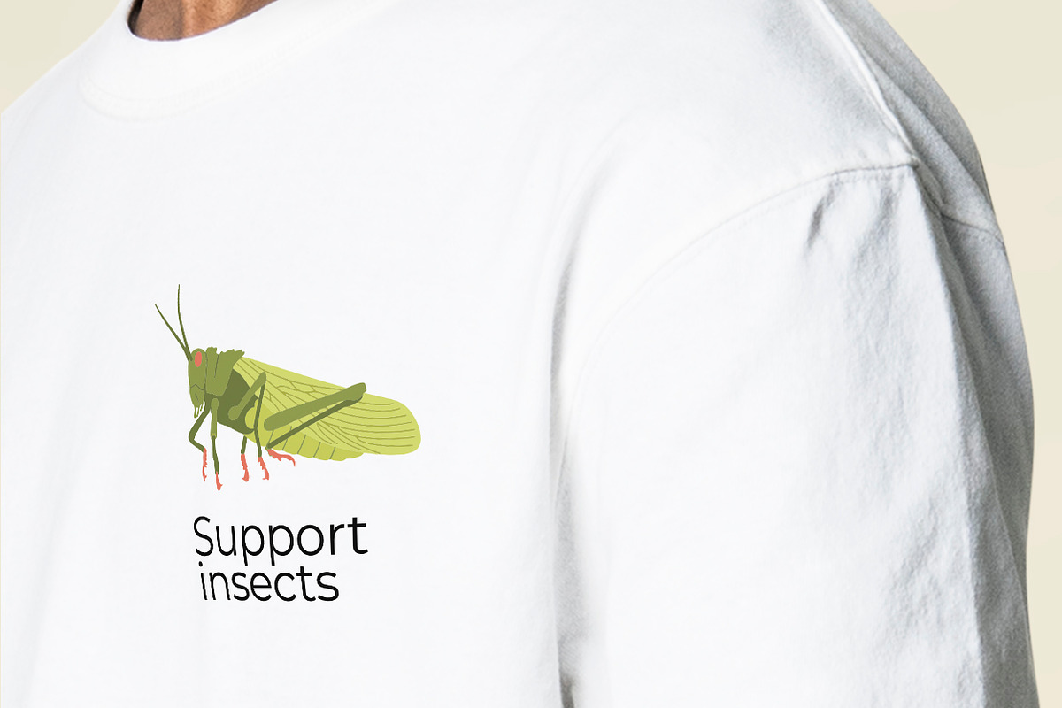 Collection of Insects, an Animal Illustration by By_Pedram (Photo 3 of 4)