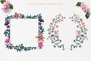 Botanical - Tropical Flowers, an Illustration by Sault Design (Thumbnail 4 of 5)
