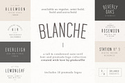Blanche | Modern Sans Serif + Logos, a Sans Serif Font by Pink Coffie (Thumbnail 1 of 11)
