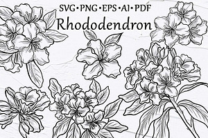 Rhododendron Line Art Clipart