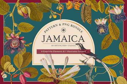 Tropical PNG Element & Pattern