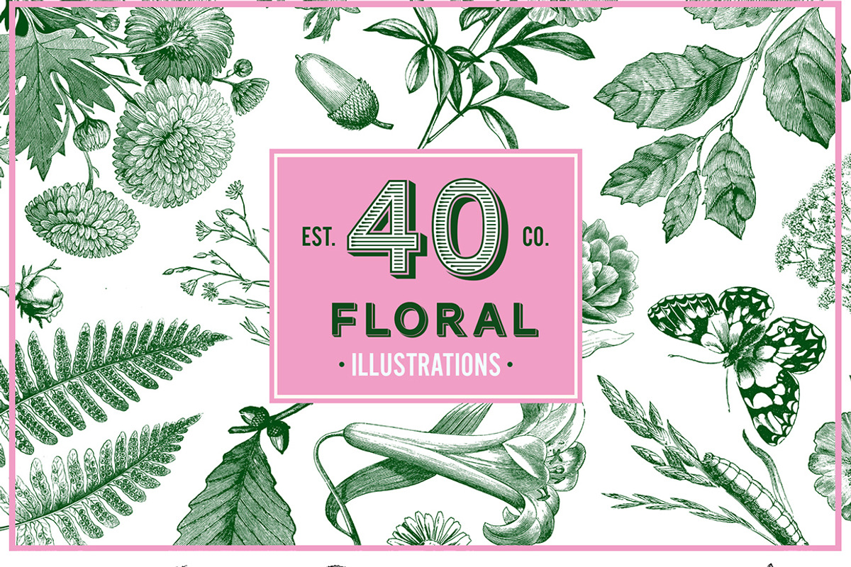 Vintage Illustrations - Free Update, an Animal Illustration by hypegraphic (Photo 3 of 12)