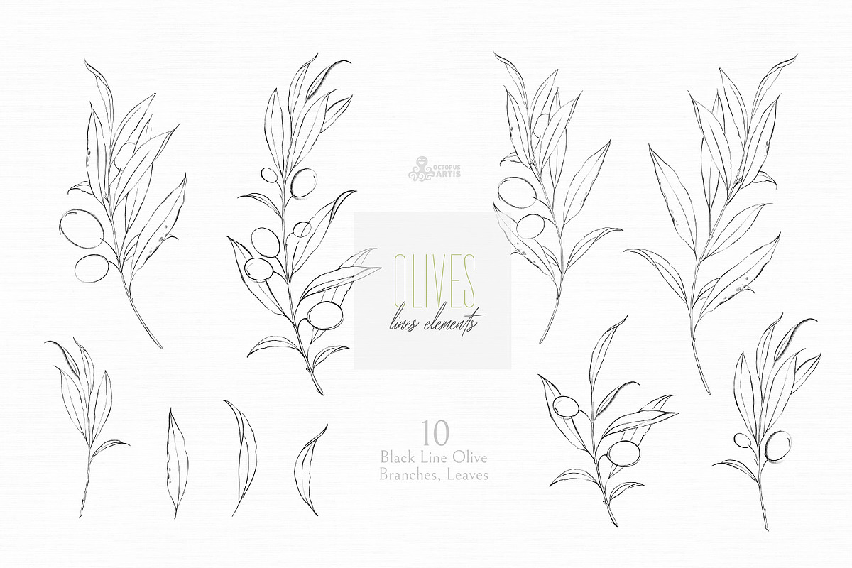 Olives. Watercolor Collection, a Decorative Illustration by OctopusArtis (Photo 8 of 17)