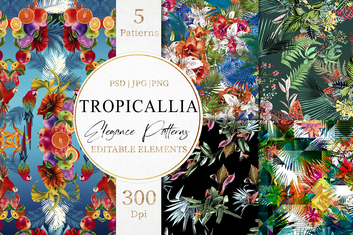 Tropicallia, a Pattern Graphic by Luiz da Rolt Grathwohl (Photo 2 of 13)