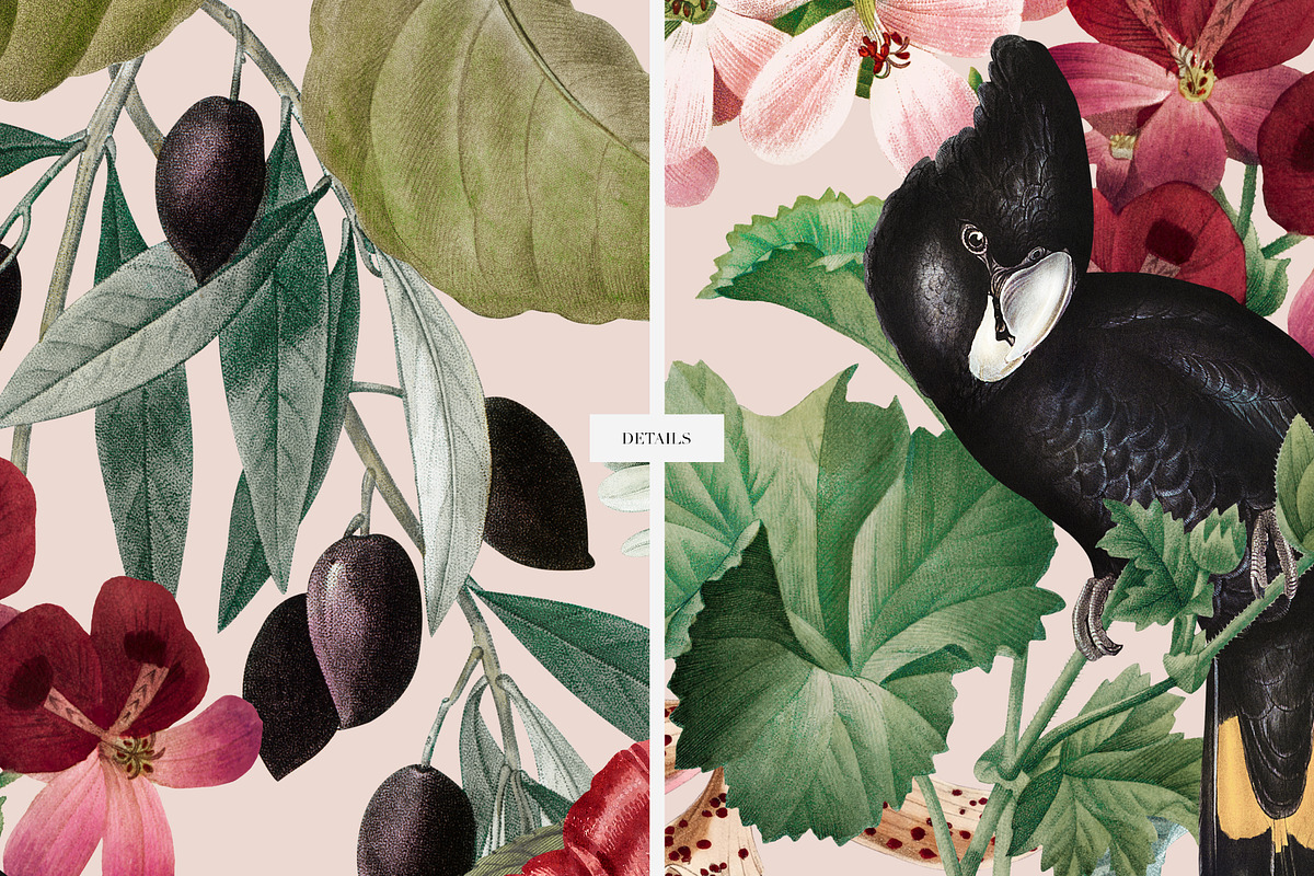 Novelle Exotic Floral Print Designs, a Pattern Graphic by LEAFure (Photo 6 of 9)