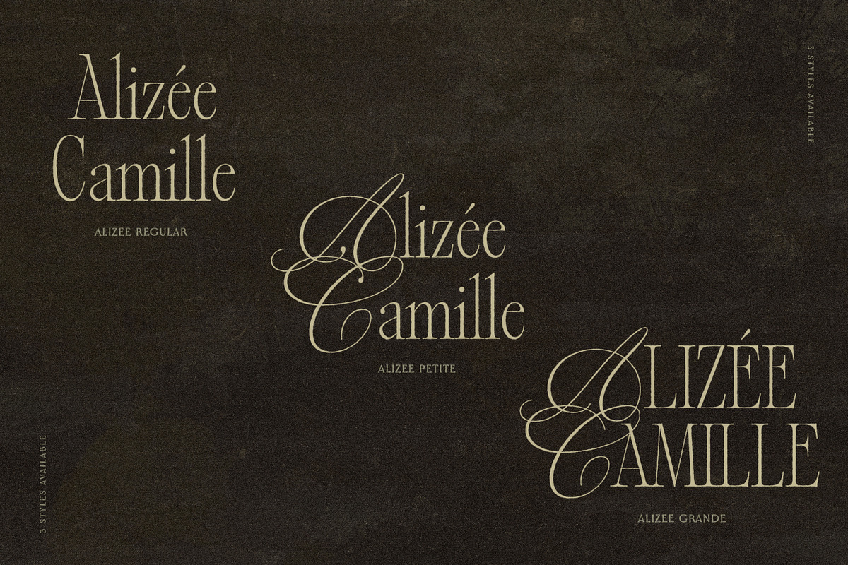 Alizee - Classy Hybrid Serif, a Serif Font by Harmonais Visual (Photo 6 of 29)