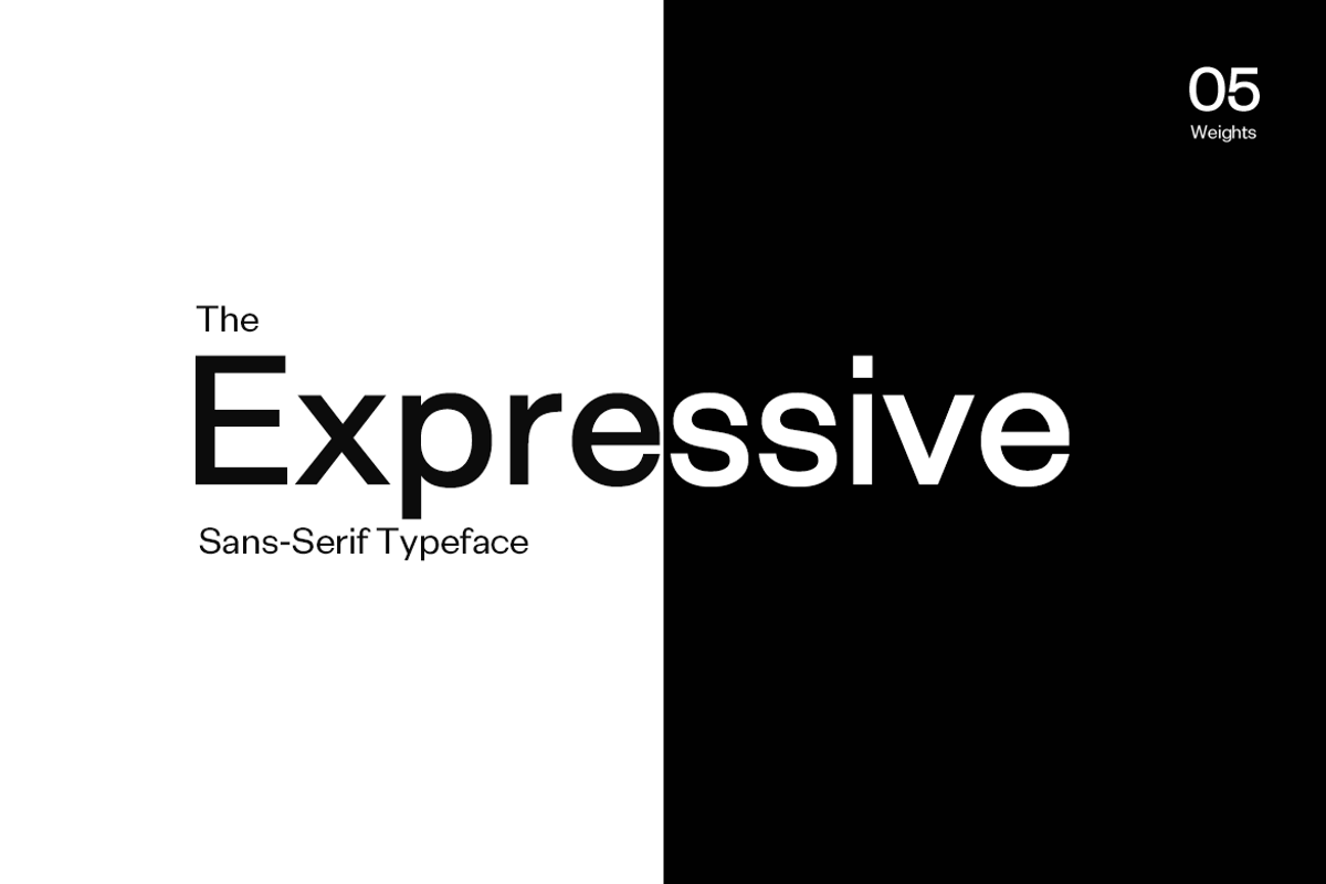 Exensa Grotesk Typeface + Web Fonts preview 2
