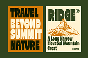 Reiger - Bold Condensed Font, a Sans Serif Font by limitype (Thumbnail 2 of 11)