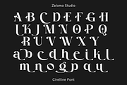 Cirelline, a Serif Font by Zaloma Studio (Thumbnail 17 of 19)