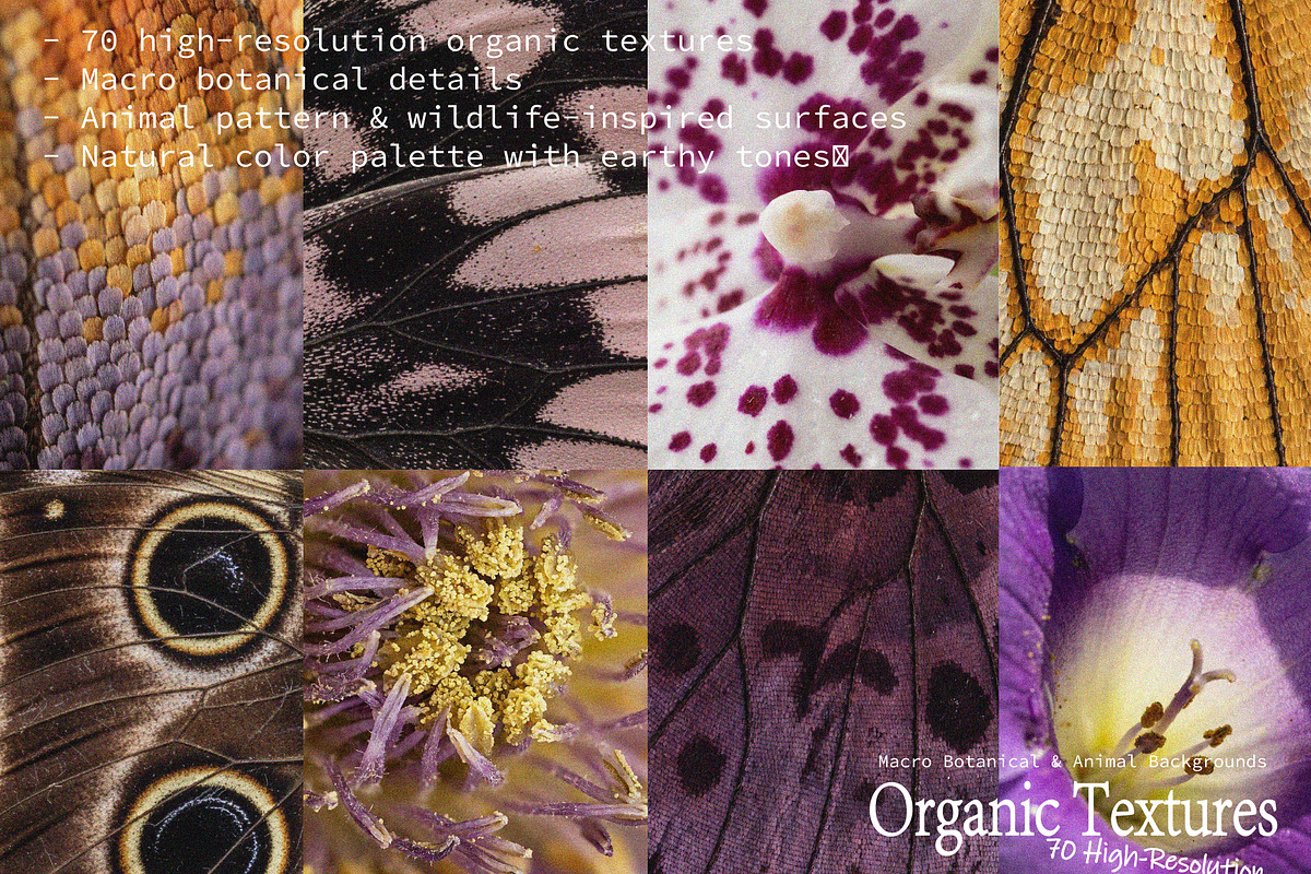 Organic Nature Backgrounds - 70 JPG, a Background Graphic by DreamoraArt