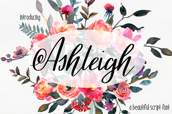 Ashleigh Script preview 2