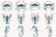 Undersea Ocean Animals PNG Clipart, an Animal Illustration by SugarCloudStudioArt (Thumbnail 5 of 7)