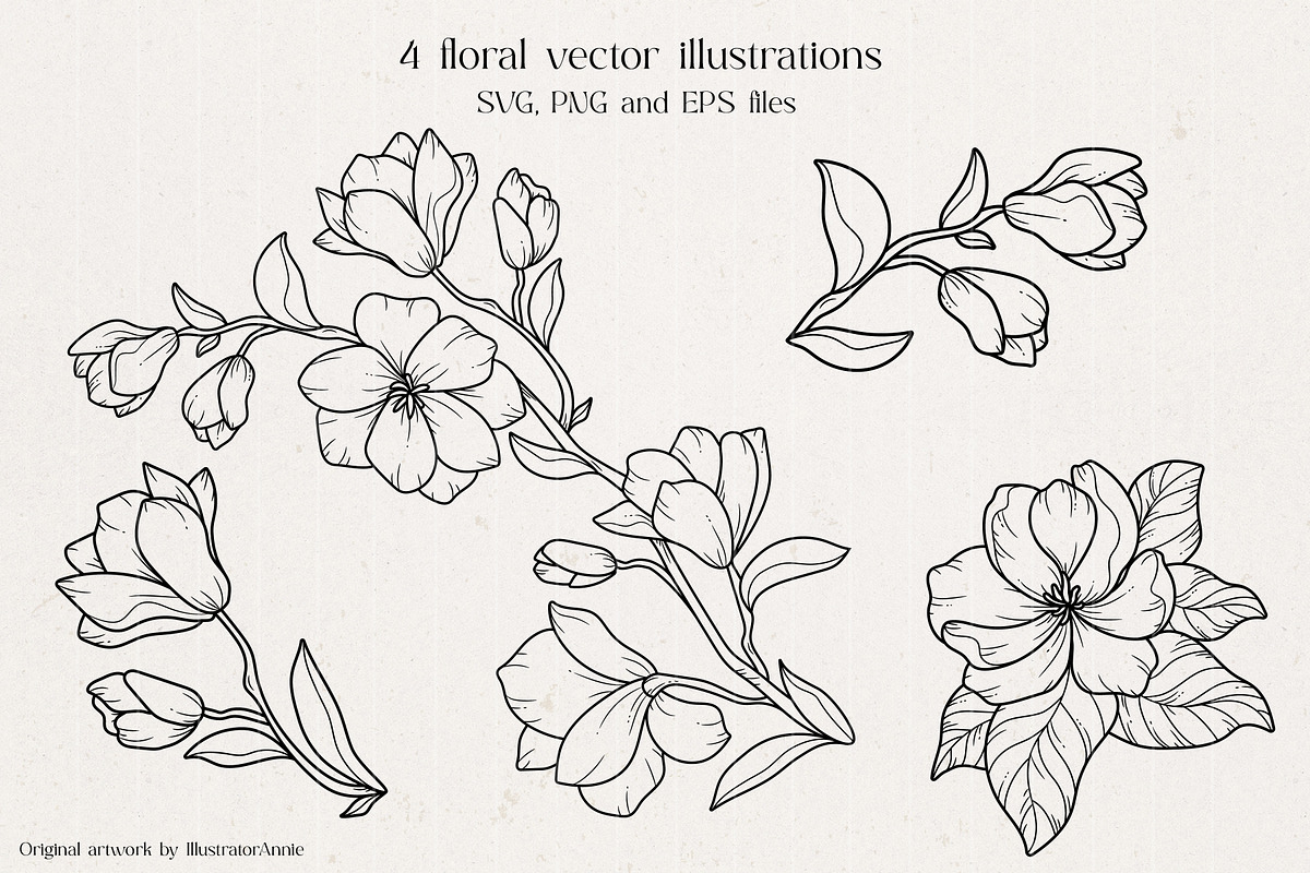 Magnolia Flower Vector Illustration, an Illustration by IllustratorAnnie (Photo 2 of 7)