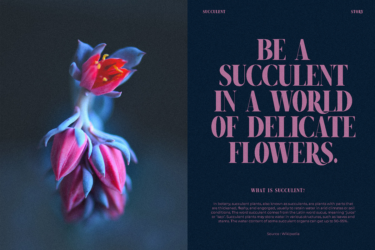 Ramita Elegant Serif Font Typeface, a Serif Font by Graphicxell (Photo 4 of 10)