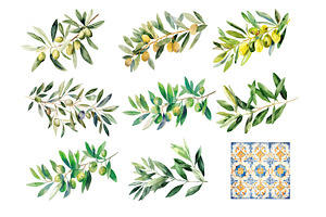 Watercolor Oliva Branch Clipart Png