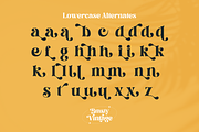 Brasty Vintage - Retro Serif Font, a Serif Font by Holyline Design (Thumbnail 11 of 16)