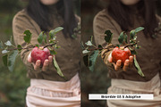20 Cider Lightroom Presets and LUTs, a Preset Add-On by SparkleStock (Thumbnail 9 of 13)