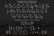 Soundtrack, a Handwritten Font by FreshTypeINK (Thumbnail 3 of 8)