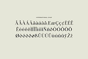 Apostrophic Beauty Serif Font, a Serif Font by UICreative (Thumbnail 9 of 12)