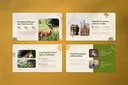 Animal Conservation Google Slide, a Presentation Template by Annora Studio (Thumbnail 5 of 8)