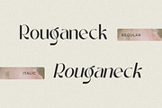 Rouganeck Modern Sans Serif Font, a Sans Serif Font by Heinzel Std (Thumbnail 12 of 13)