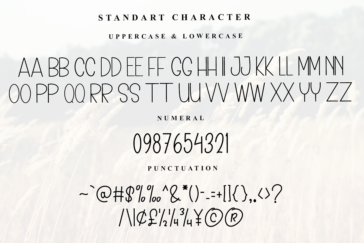 School Teacher, a Serif Font by InermediaSTUDIO (Photo 3 of 7)