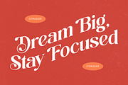 Beyond Wandler Modern Serif Font, a Serif Font by timelesstype.co (Thumbnail 4 of 20)