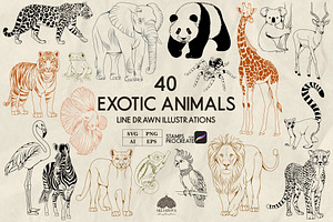 Exotic Animals Line Art + Procreate, an Illustration by Skliarova