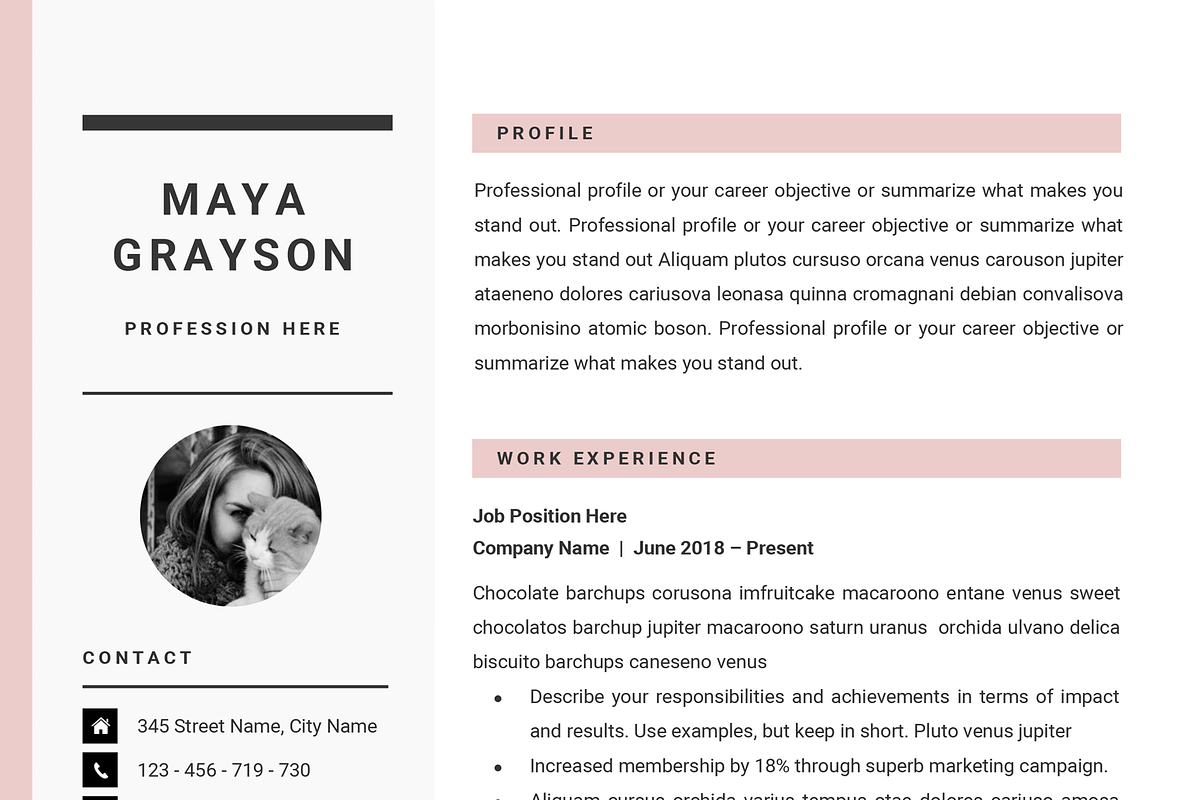 Professional Resume CV Template, a Resume Template by GResume (Photo 6 of 7)