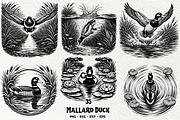 Mallard Duck SVG Graphics Bundle, an Animal Illustration by DENIDigitalArtSudio (Thumbnail 1 of 5)
