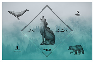 Animals Illustrations
