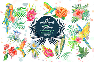 60% OFF TROPICAL SET