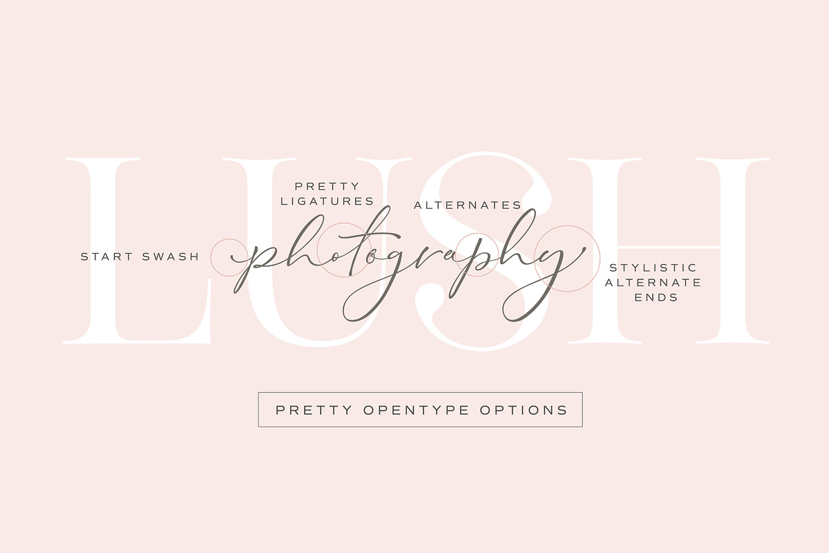 The Stay Classy Font Duo, a Serif Font by Nicky Laatz (Photo 21 of 36)