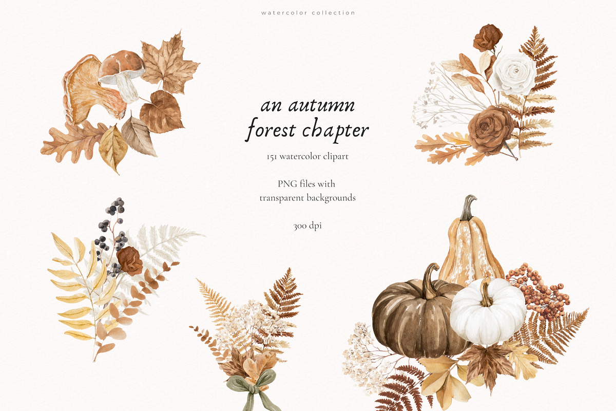 An Autumn Forest Chapter Collection, an Animal Illustration by PeDe Designs (Photo 15 of 29)