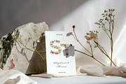 Dried Wildflowers - watercolor flora, an Illustration by SunnyAfternoons (Thumbnail 9 of 15)