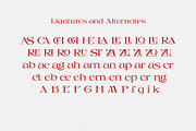 Picabro Serif Font, a Serif Font by Heinzel Std (Thumbnail 7 of 11)