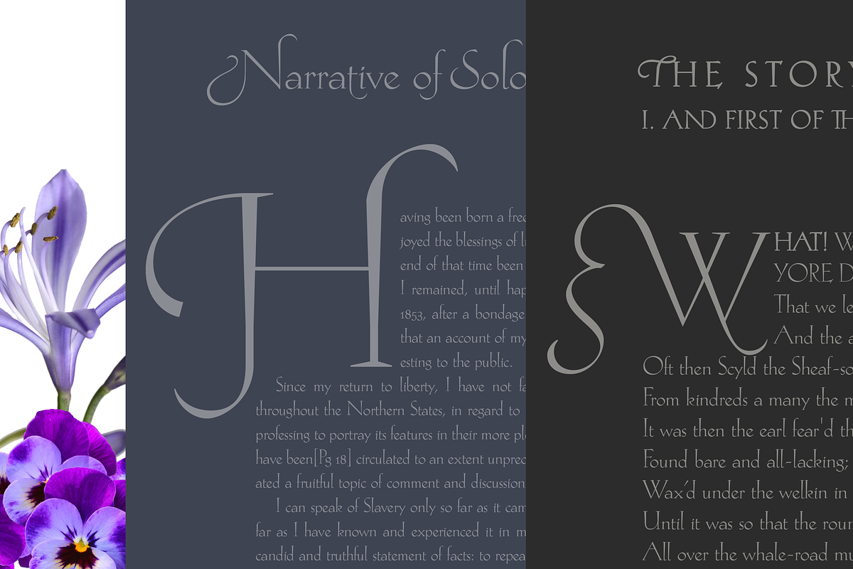 Hellen - Serif Font, a Serif Font by Genilson Santos (Photo 14 of 21)