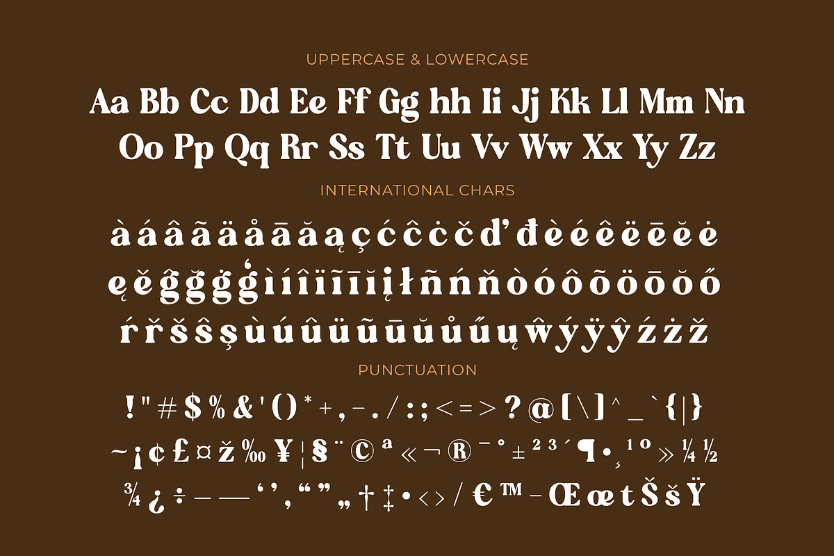 Regina Morise Classy Retro Serif, a Serif Font by timelesstype.co (Photo 18 of 20)