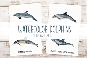 Dolphins Watercolor Clip Art & Print, an Education Illustration by Tati Bordiu