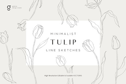 Minimalist Tulip Line Sketches