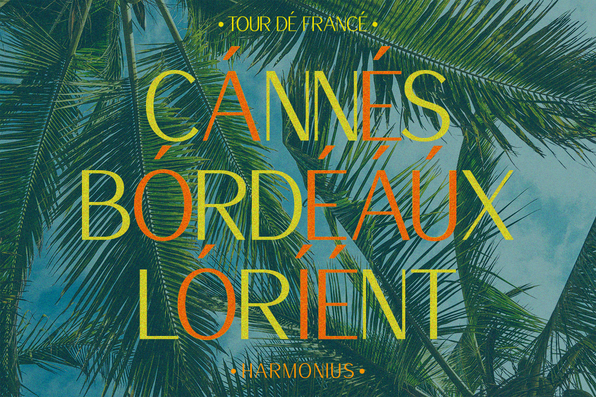 Harmonius Sans Serif Typeface Font, a Sans Serif Font by Vadovastd (Photo 4 of 9)