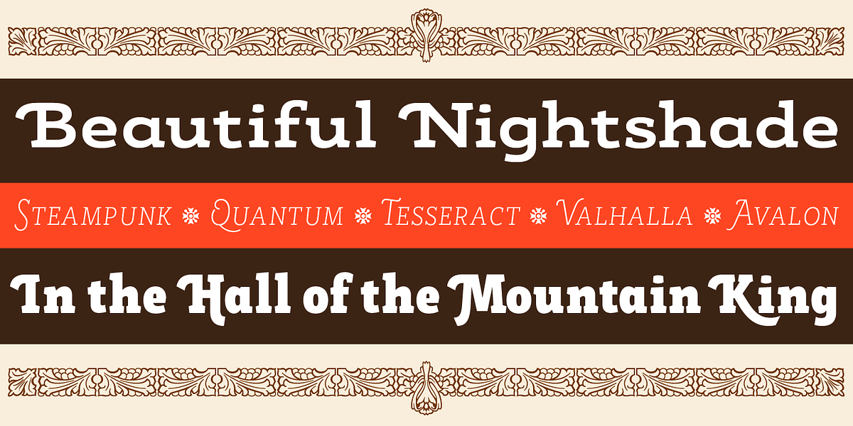 Rogliano Pro, a Slab Serif Font by Untype (Photo 17 of 26)