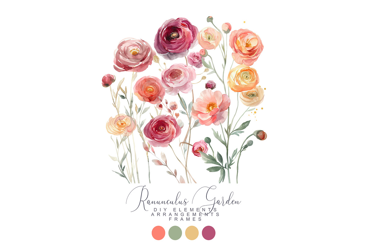 Watercolor Ranunculus Clipart Set, a Decorative Illustration by Patishop Art (Photo 4 of 10)