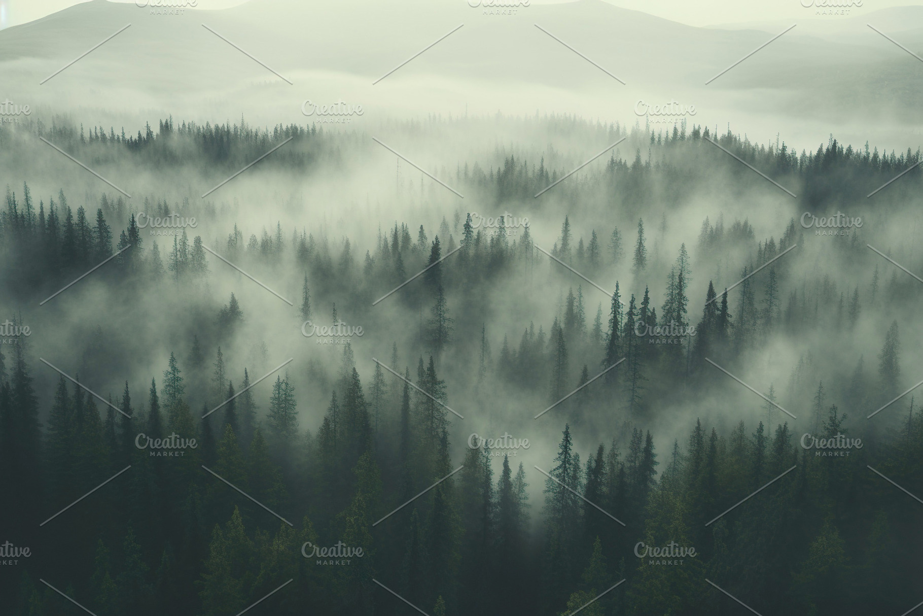 Misty Nordic Forest Landscape, a Nature Photo by Iconogenic