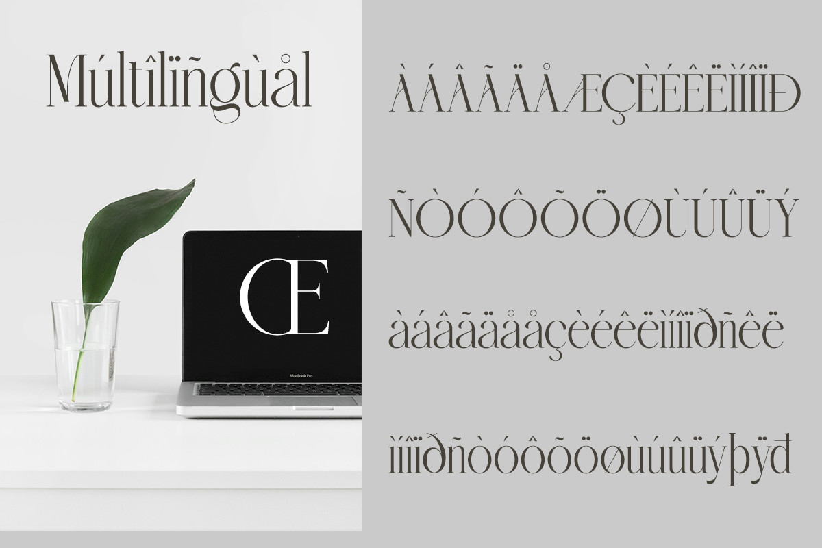 Roliace - Elegant Classy Display, a Serif Font by Qweera Studio (Photo 9 of 12)