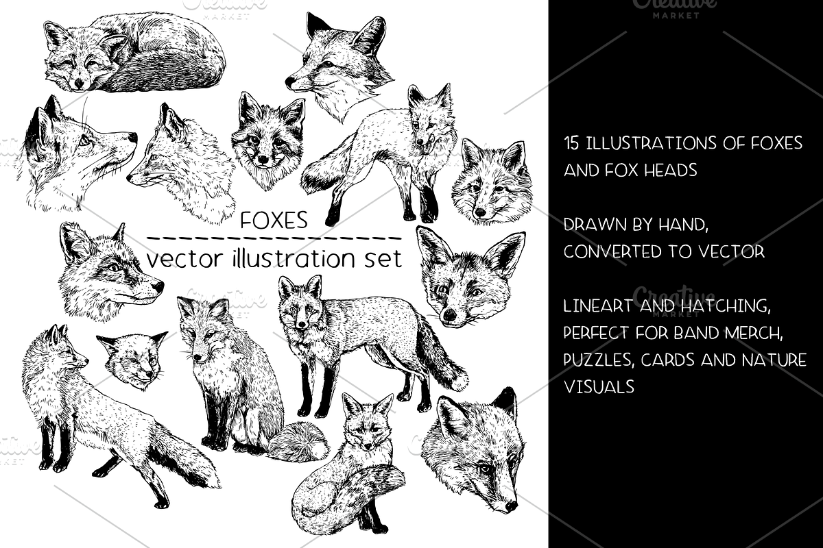 Foxes - vector illustration set, an Animal Illustration by Renée from Studio neetje (Photo 2 of 4)