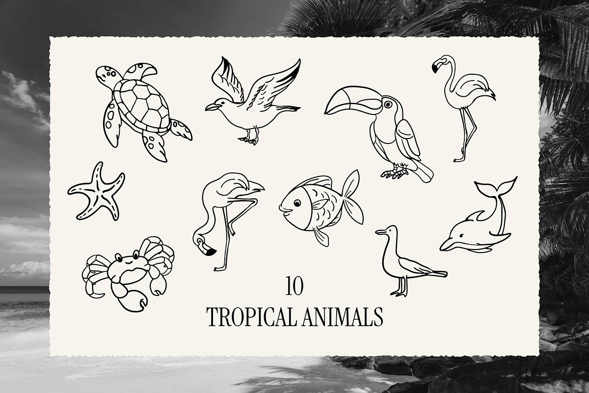Tropical Doodle - Hand-Drawn Set, a Seasonal Illustration by Invisual Studio (Photo 6 of 13)